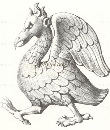 ANIMAL_0081